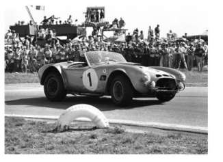 Rare Unrestored Shelby Cobra Outperforms Everything...Even Gold